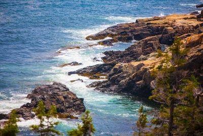 Waves breaking over a rocky, pine-lined coastline in Maine.