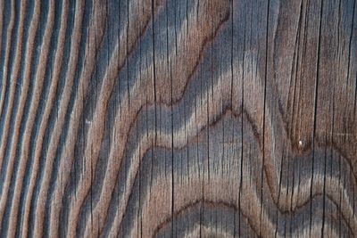 Close-up of weathered driftwood grain, warm brown tones.