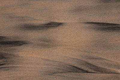Close-up of rippled sand texture along the shoreline.